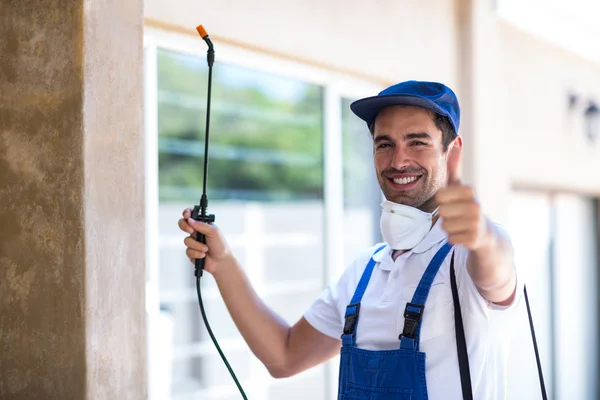 Royse City Wasp Removal