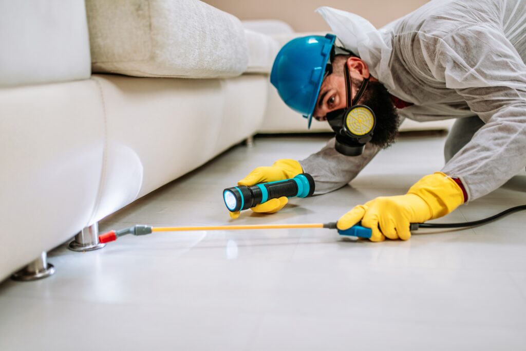 Royse City Termite Control