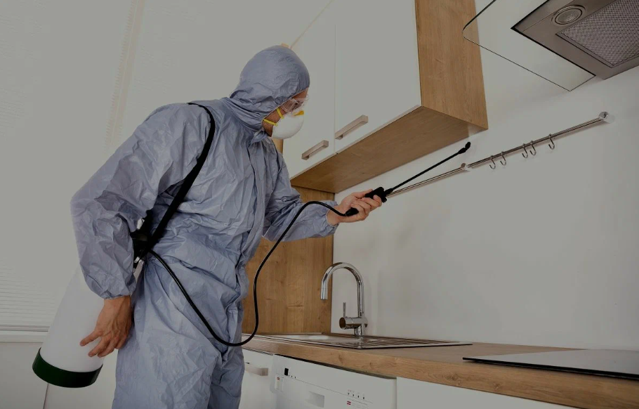 Royse City pest managment